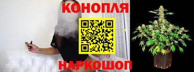 молекула духа Вязьма
