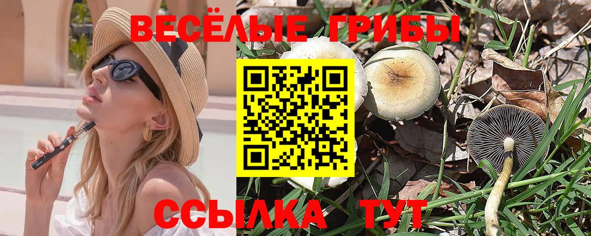 Галлюциногенные грибы прущие грибы  Вход с VPN  Кропоткин 